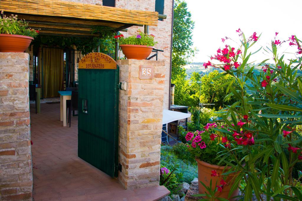B&B Borgo Marano Cupra Marittima Kültér fotó