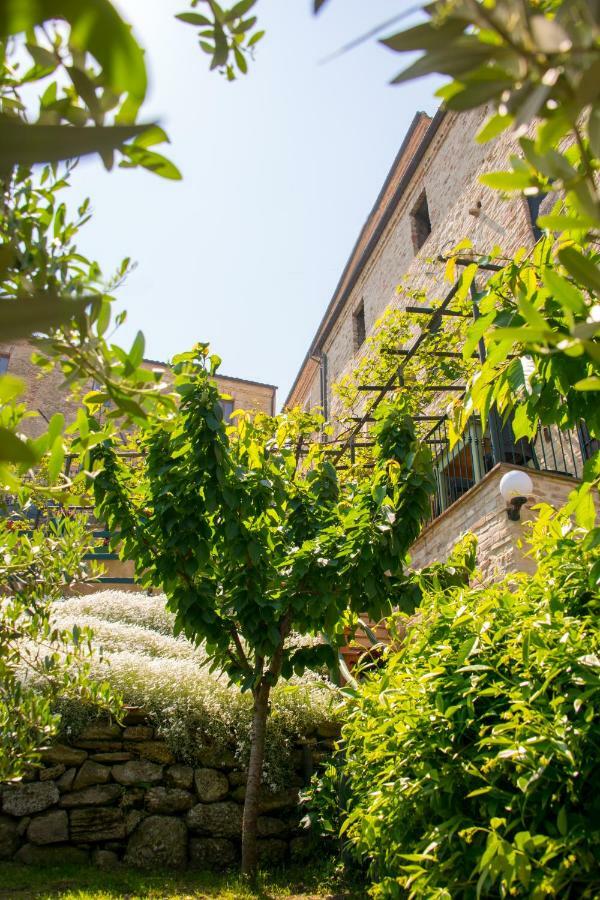 B&B Borgo Marano Cupra Marittima Kültér fotó
